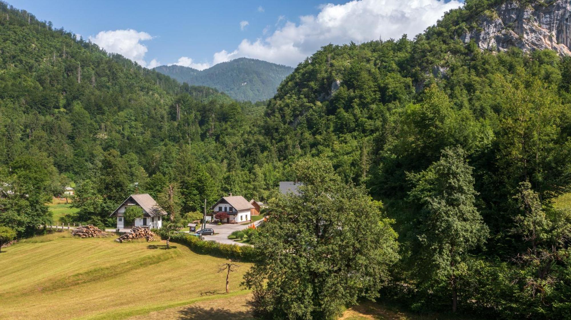 Apartma Pri Lipi Bohinj Exterior photo